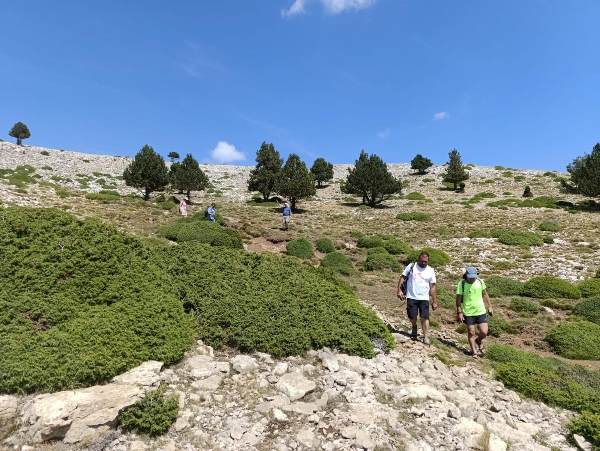 Dinosaur House Daire Coll de Nargó Dış mekan fotoğraf